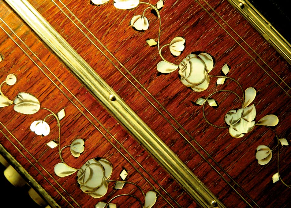 mother of pearl inlays of an Bandoneon